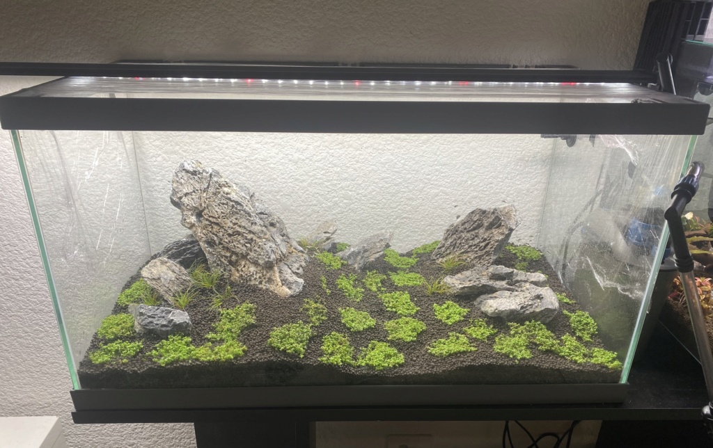Transformer un petit aquarium fermé en aquarium « Rim-less » 5d4bae10