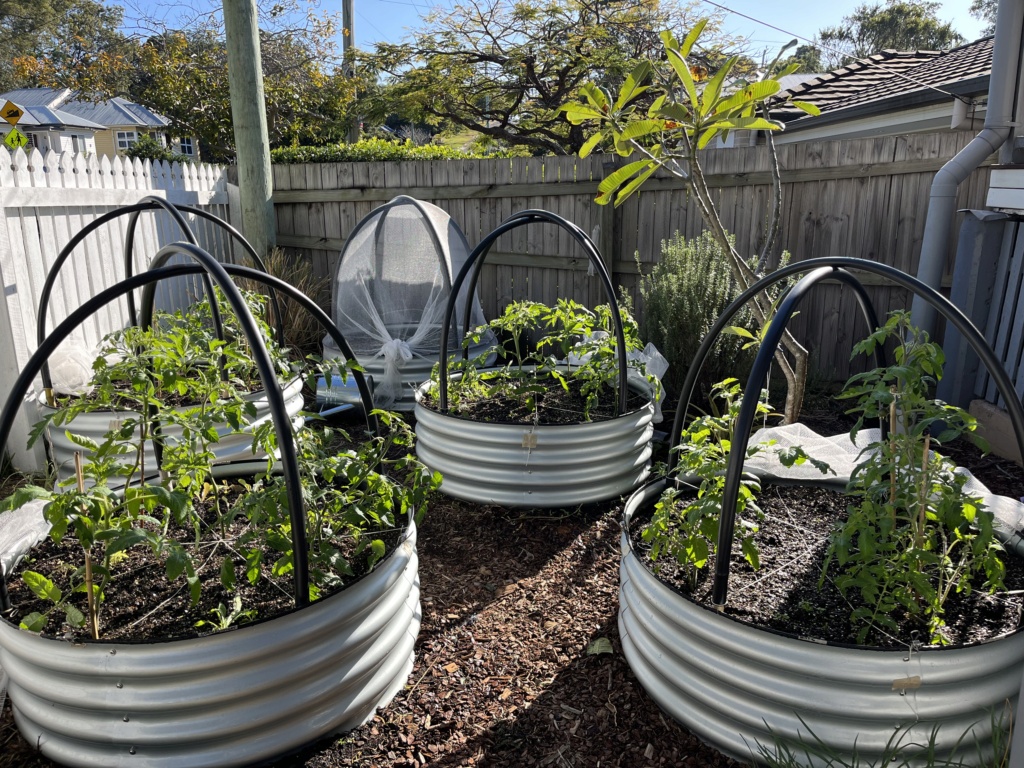 A square foot garden in a round bed.  Af786410