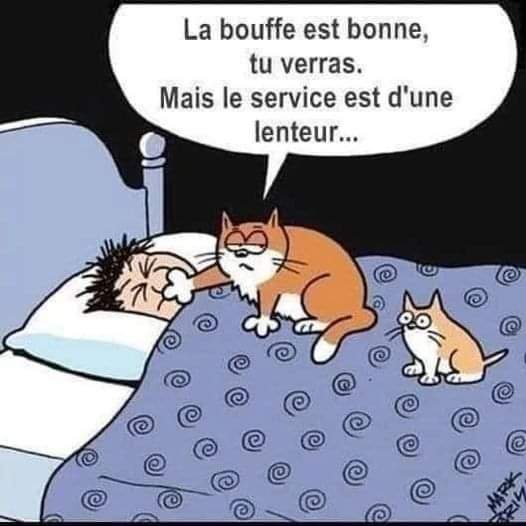 Humour en images - Page 9 Fb_i1023