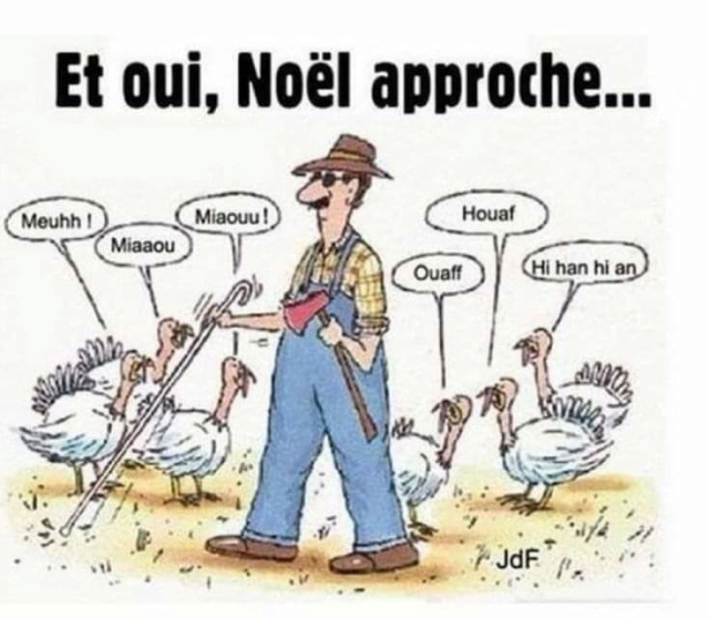 Humour en images - Page 10 Fb_i1094