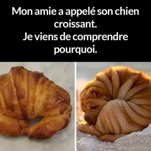 Humour en images - Page 12 Fb_i1251