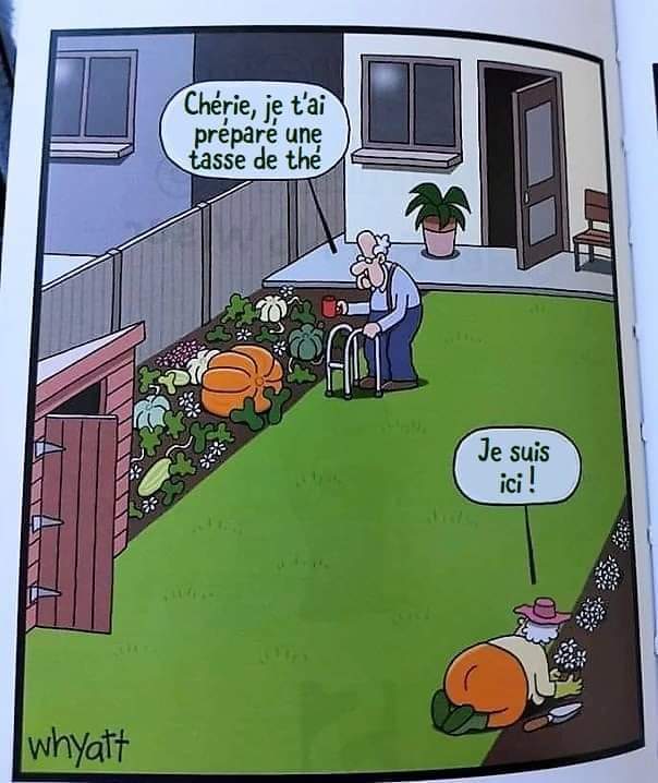 Humour en images - Page 3 Fb_im588