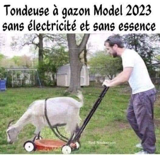 Humour en images - Page 4 Fb_im634