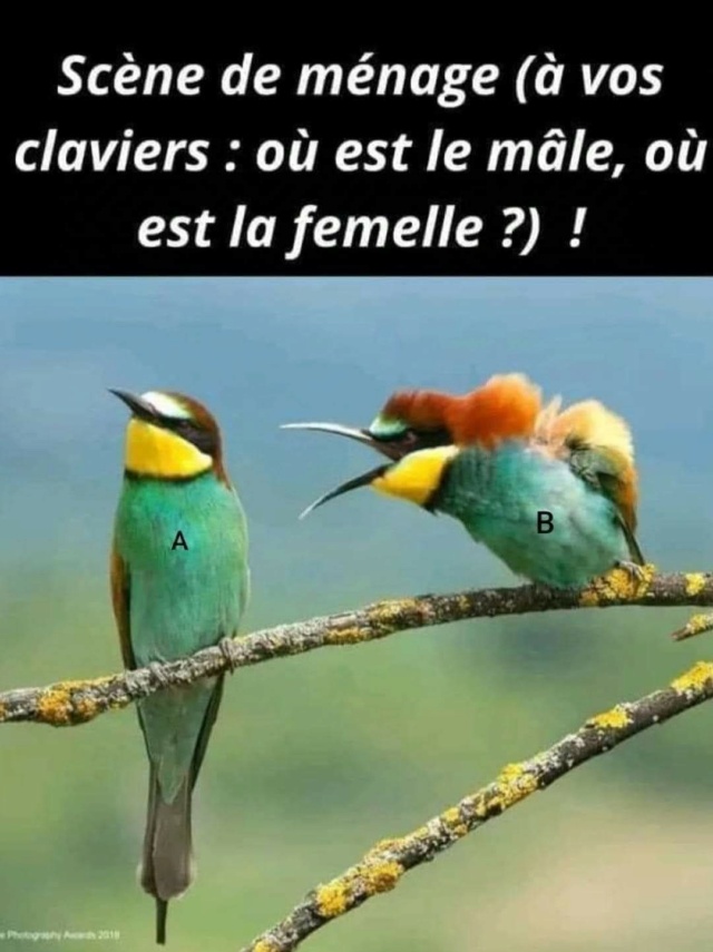 Humour en images - Page 4 Fb_im639