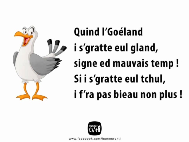 Humour Ch'ti  - Page 6 Fb_im767