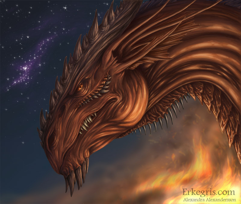 Caractéristiques des dragons Fire_a12