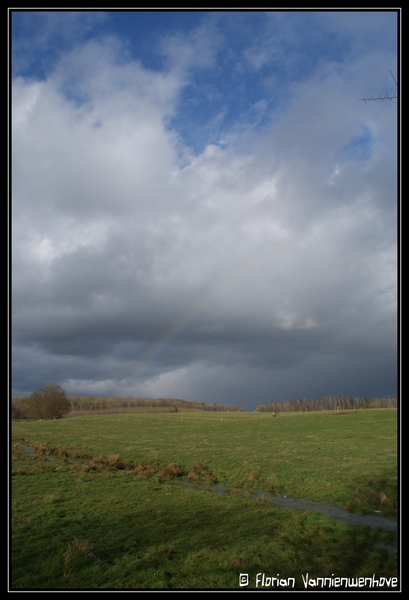 Ciel de traine, fort sympathique! Dsc01715