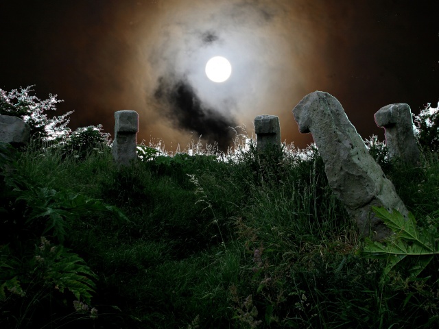 dolmens ,cromleck ,menhirs du nord de la france Cromle10