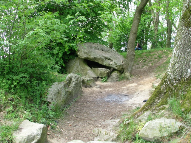 dolmens ,cromleck ,menhirs du nord de la france Img_2316