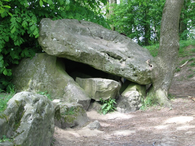 dolmens ,cromleck ,menhirs du nord de la france Img_2317