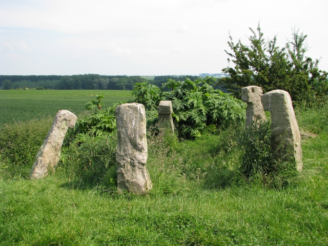 dolmens ,cromleck ,menhirs du nord de la france Img_2513