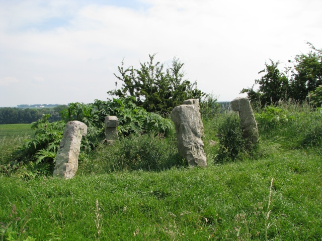 dolmens ,cromleck ,menhirs du nord de la france Img_2514