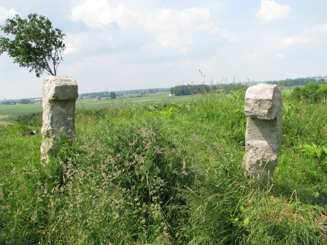 dolmens ,cromleck ,menhirs du nord de la france Img_2515