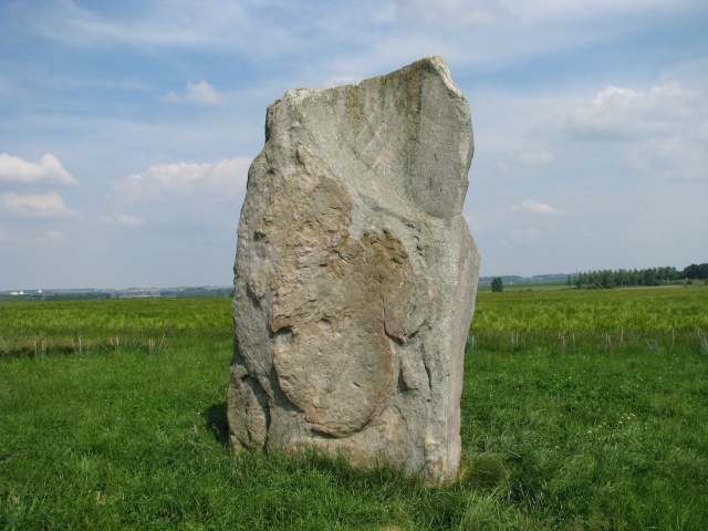dolmens ,cromleck ,menhirs du nord de la france Img_2516