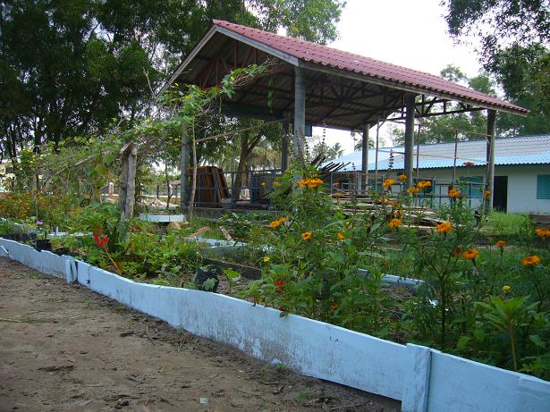 Coup de coeur à Koh Kong Cambod15