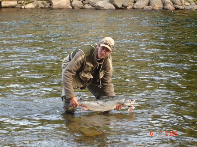 Saumons pris sur la rivière york (Gaspé) Saumon12