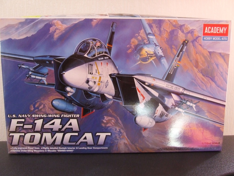[Academy] F-14A Tomcat Dscf6613