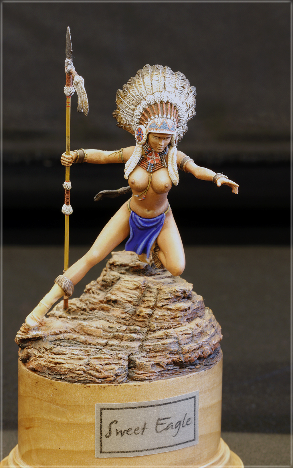 Expo maquettes/figurines dans le sud-ouest, St.Orens-de-Gameville 17&18 Fév.2024 C_mg_638