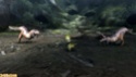 Nouvelles images de Monster Hunter 3 ! Vous en redemandez ? 24110