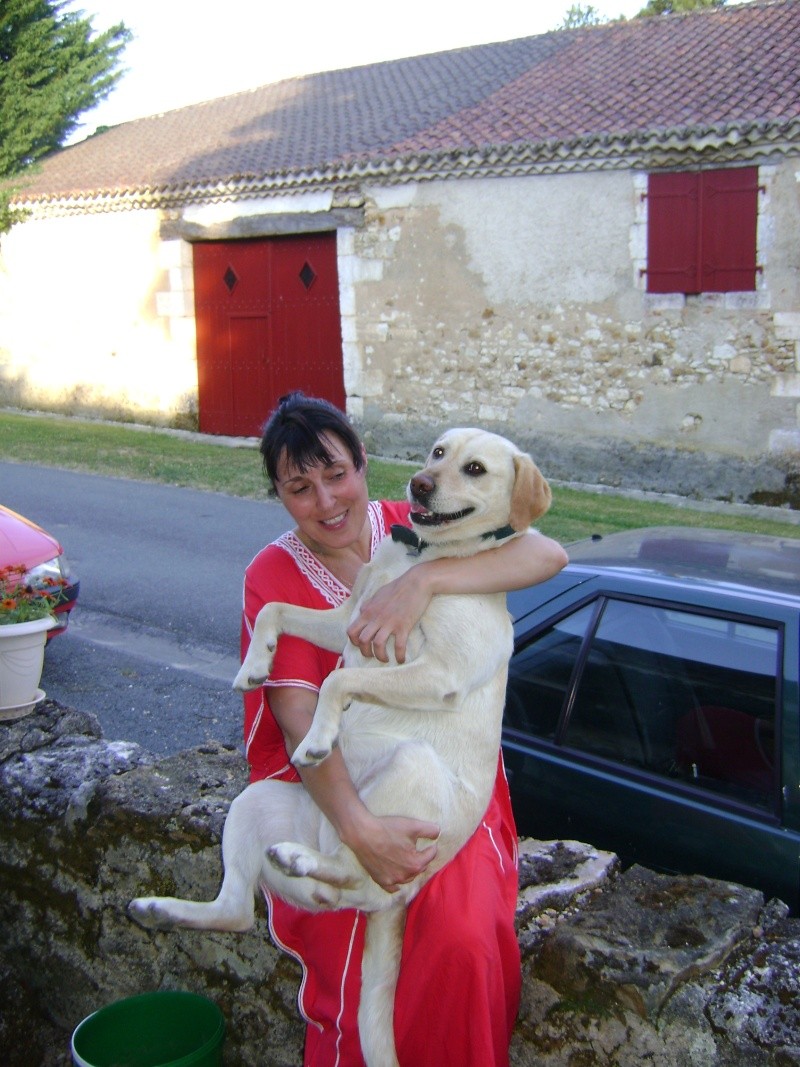 Concours photo Chien et maitre groupe 4 Concou48