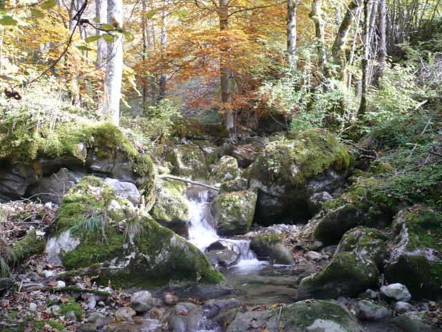 Votes pour l'élection de la photo de novembre Fermet25