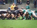 Photos match Mouguerre Pb150063