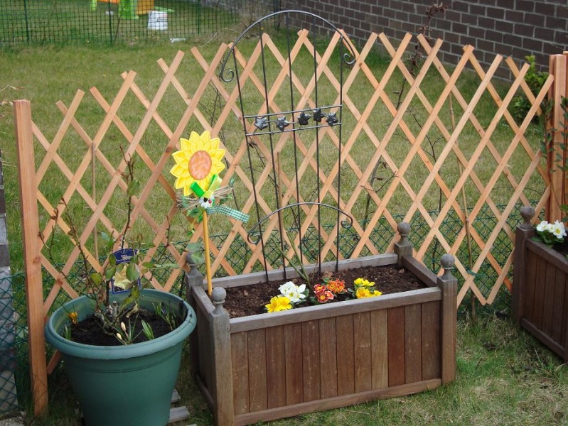 3 heures de jardinage et voilà le résultat Dsc00316