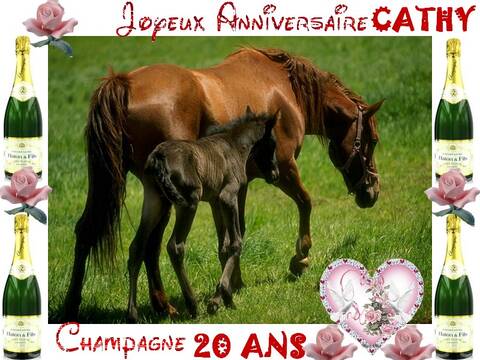 Joyeux Anniversaire Cathy Joyeux Anniversaire Cathy