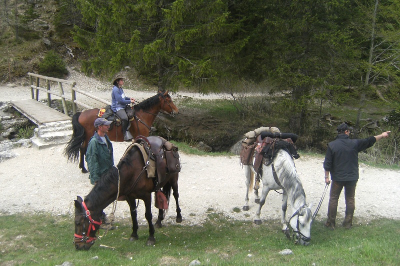 Vercors- 4 montagnes - du 8 au 10 mai - Page 3 Dscf3111