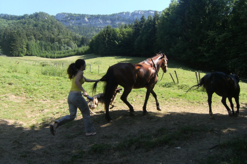 Killer's & Flo -- Galou & Crin de poney & Pitchou >>>>  Il étais une fois dans l'ouest ... Photo p 27  - Page 10 Dscf4515