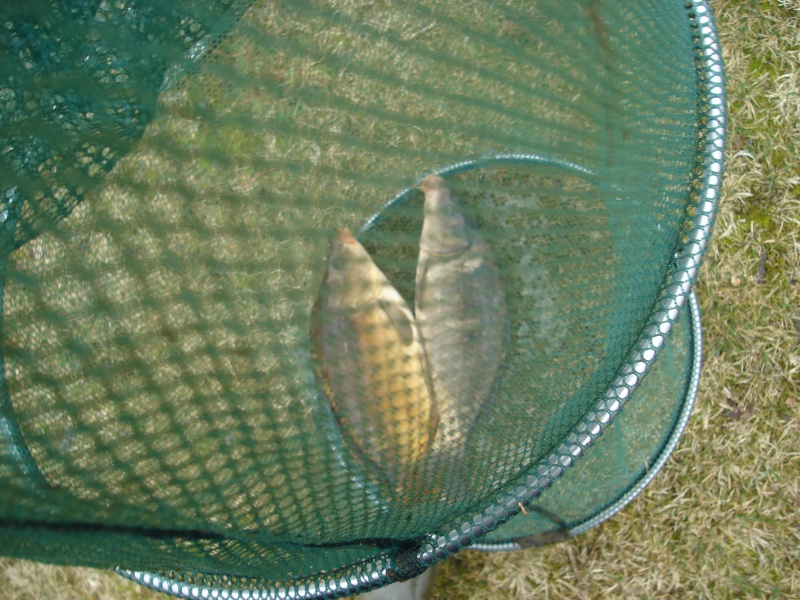 ptite pêche avec mon nouveau rod pod (04/03/09) Dsc02810