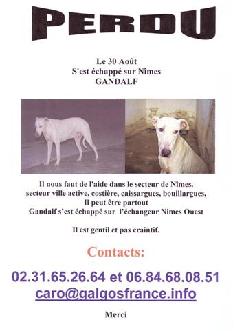 AFFICHETTE DISPARITION GANDALF Affich55