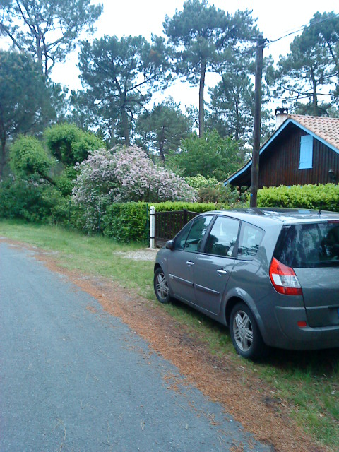 tournoi de lacanau : 17 mai 2009 Dsc00010