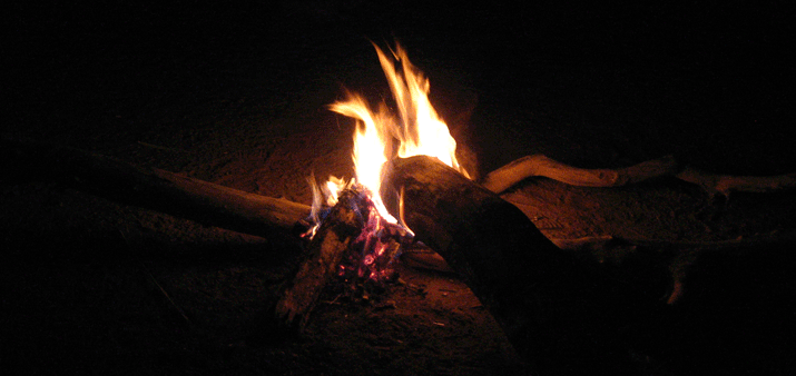 Au pied du grand Baobab... Feu-de10