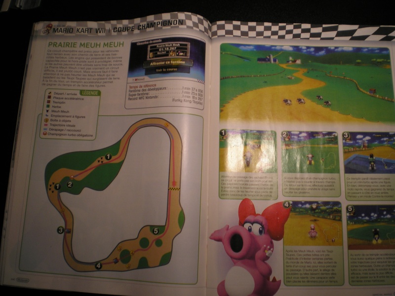 Guide technique Mario Kart Wii P3150319