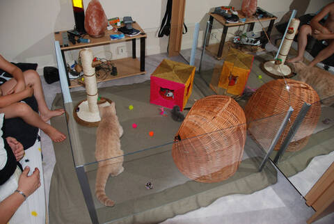 Articles Pour Parc A Chaton Ou Nurserie Page 6 Articles Pour Parc A Chaton Ou Nurserie Page 6