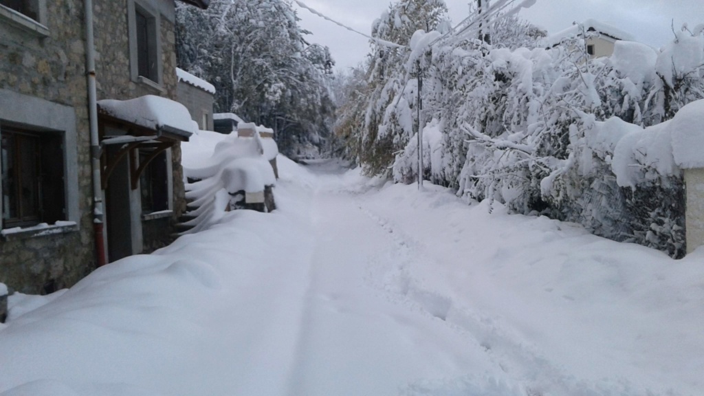 le retour de la neige ! 20181011