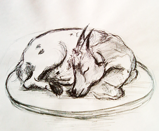 concours photo n° 28: dessinez votre biquette! - Page 3 Dessin10
