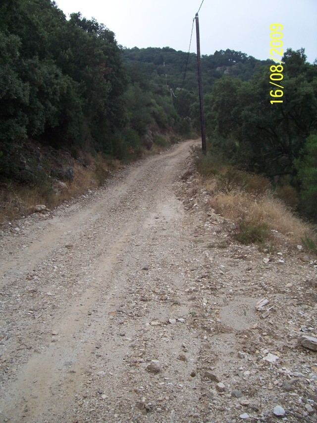 La Tour de la Massane (66), le 16 Août 2009 100_4049