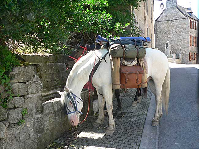 Le Berrichon 2009 : Bourges - Pyrénées Ouest-Est et retour - Page 6 France18