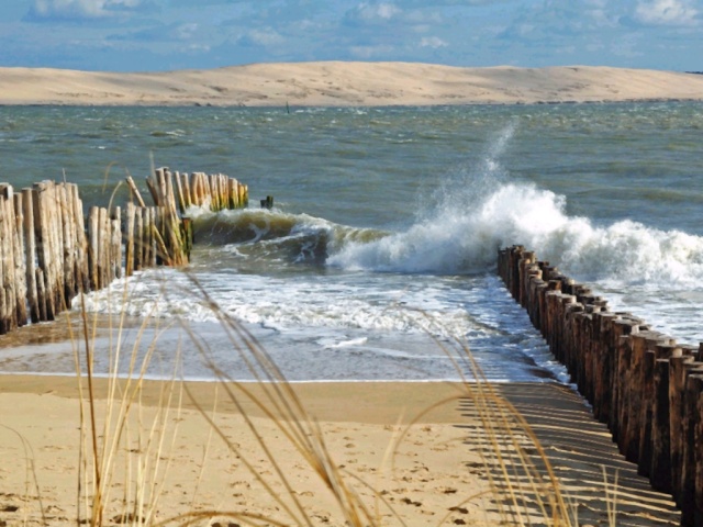 La Dune du PYLA  Bassin d'Arcachon Cap_fe15