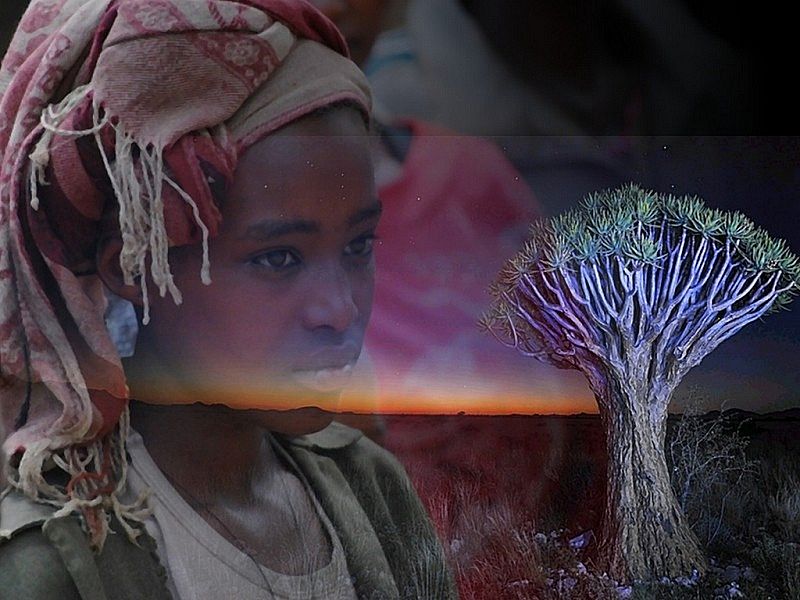 Hommage au CONTINENT AFRICAIN au travers de Photos Montages Sans_t10