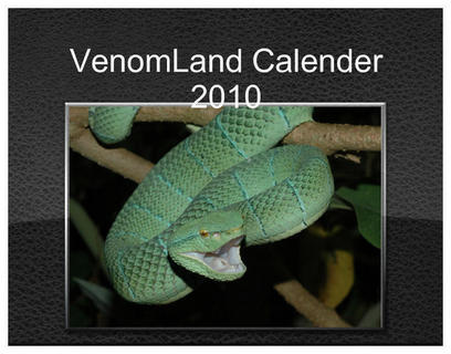 new official VenomLand Calender 2010 Cover_11