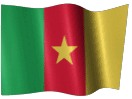 Armée Camerounaise 3dflag14