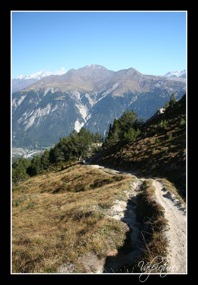Les Alpes, la Savoie, chez nous... Photo du 20 mai 2010 - Page 12 426