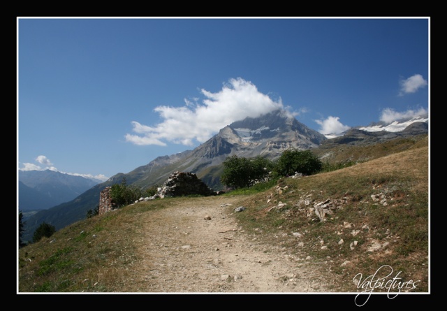 Les Alpes, la Savoie, chez nous... Photo du 20 mai 2010 - Page 12 820