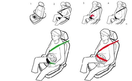 Femme enceinte et ceinture de sécurité Sans_t18