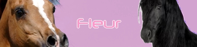Photofiltre studio Fleur11