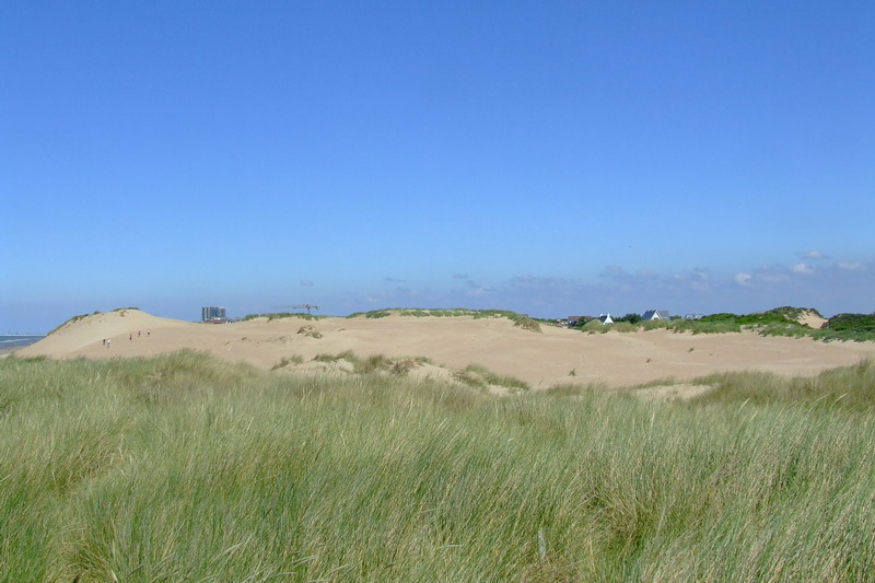 Spot pour RC dans les dunes de Coxyde ( Belgique ) Dscf4343
