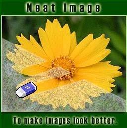 برنامج Neat Image Pro Plus 5.9 610